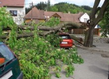 Kwikfynd Tree Cutting Services
titree